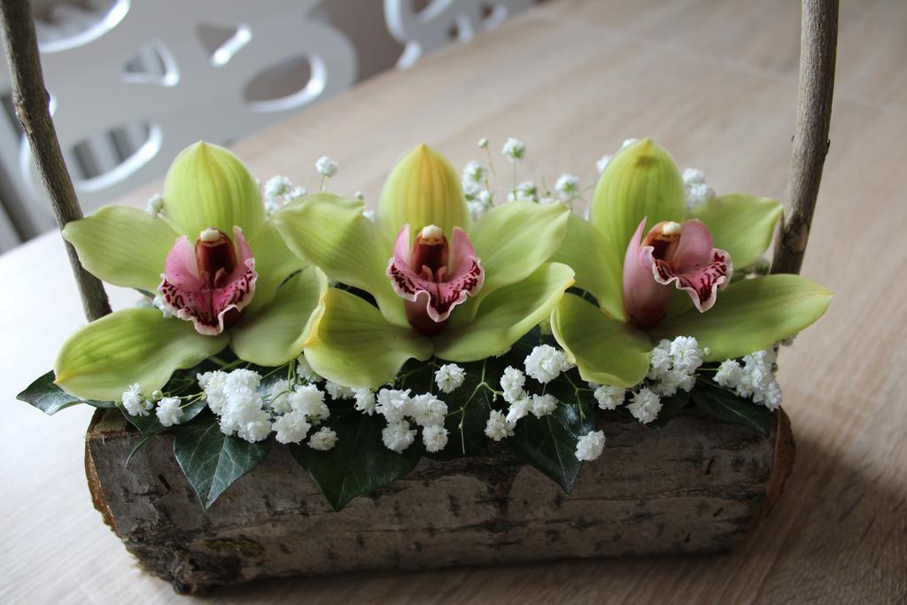 Appartamento Orchid House Belgrado Esterno foto